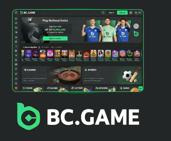 Step-by-Step Guide to BC.Game Registration Process